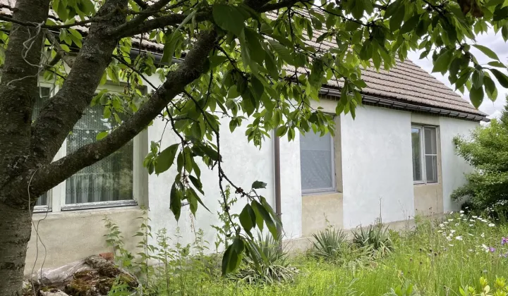 dom wolnostojący, 3 pokoje Dachów