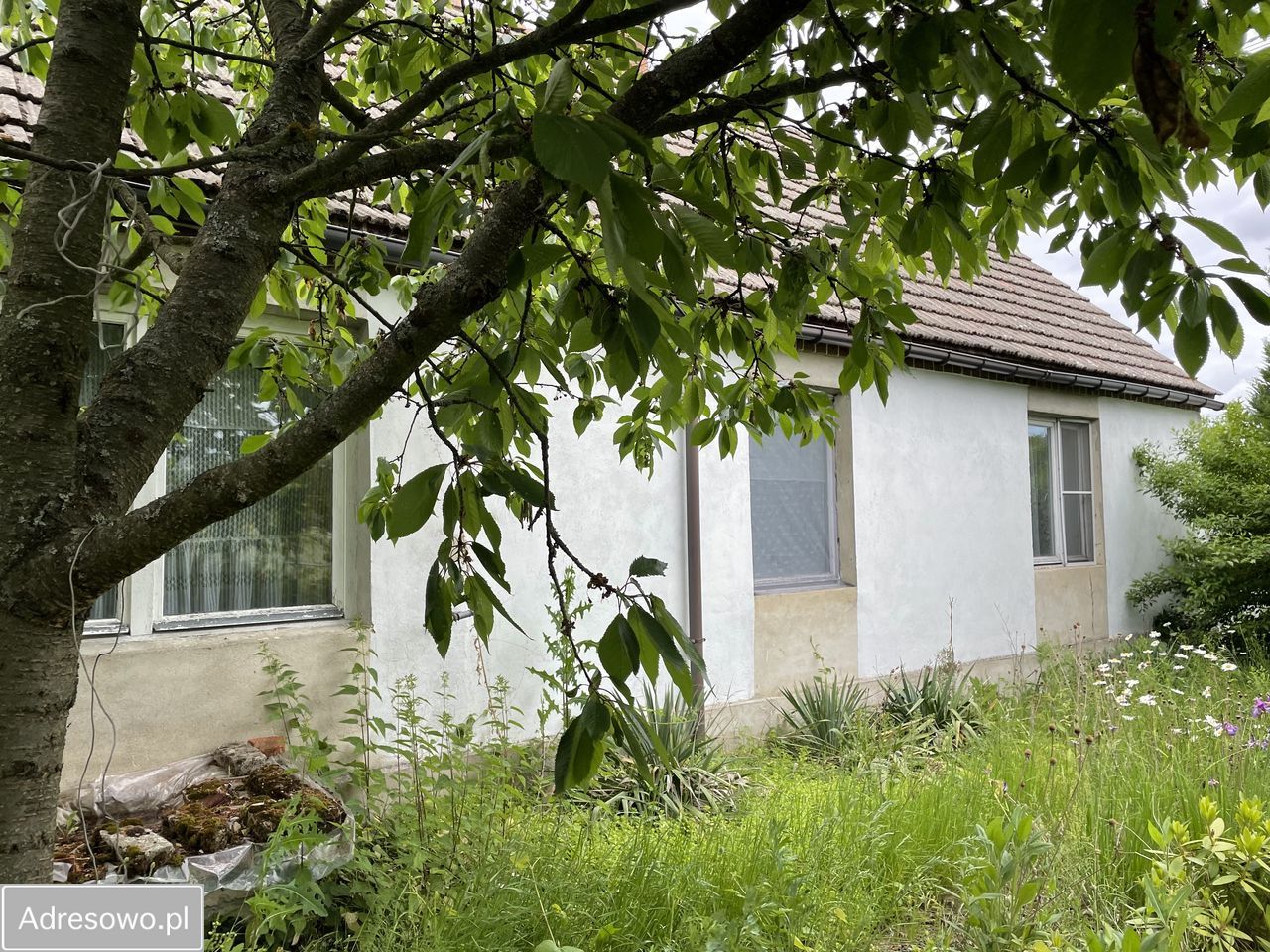 dom wolnostojący, 3 pokoje Dachów. Zdjęcie 1