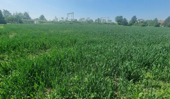 Działka budowlana Olza