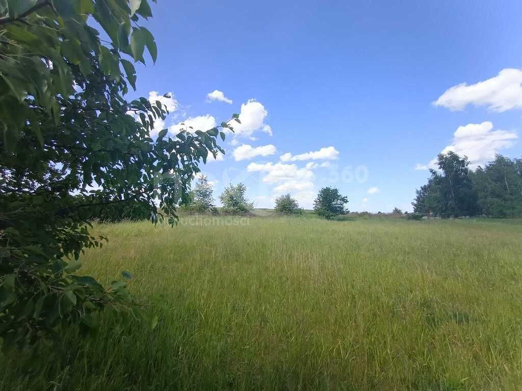 Działka rekreacyjna Michalice. Zdjęcie 3