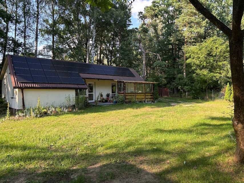 Działka siedliskowa Płosków-Kolonia. Zdjęcie 3