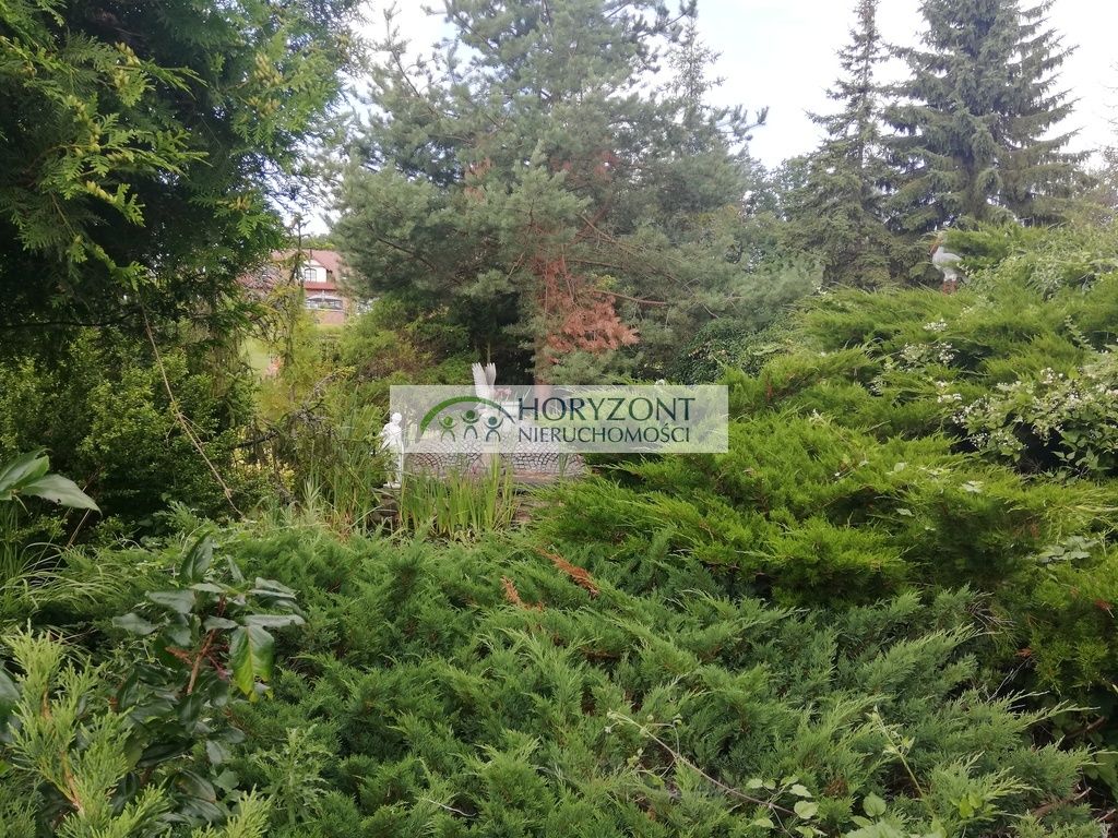 Działka inwestycyjna Babidół. Zdjęcie 28