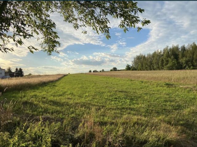 Działka rolno-budowlana Chocznia. Zdjęcie 1