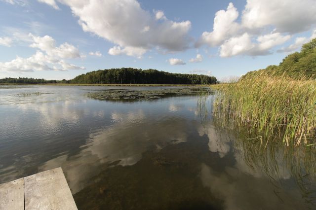 Działka rekreacyjna Potrzanowo, ul. Stare Potrzanowo. Zdjęcie 8