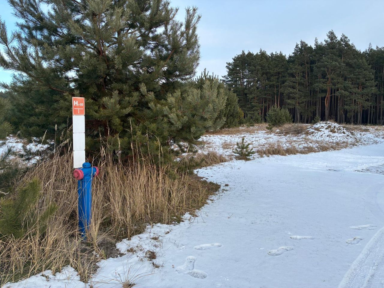 Działka rekreacyjna Gruszeczka. Zdjęcie 4