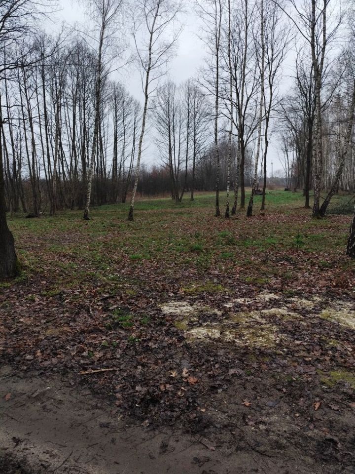 Działka budowlana Ocieka. Zdjęcie 6