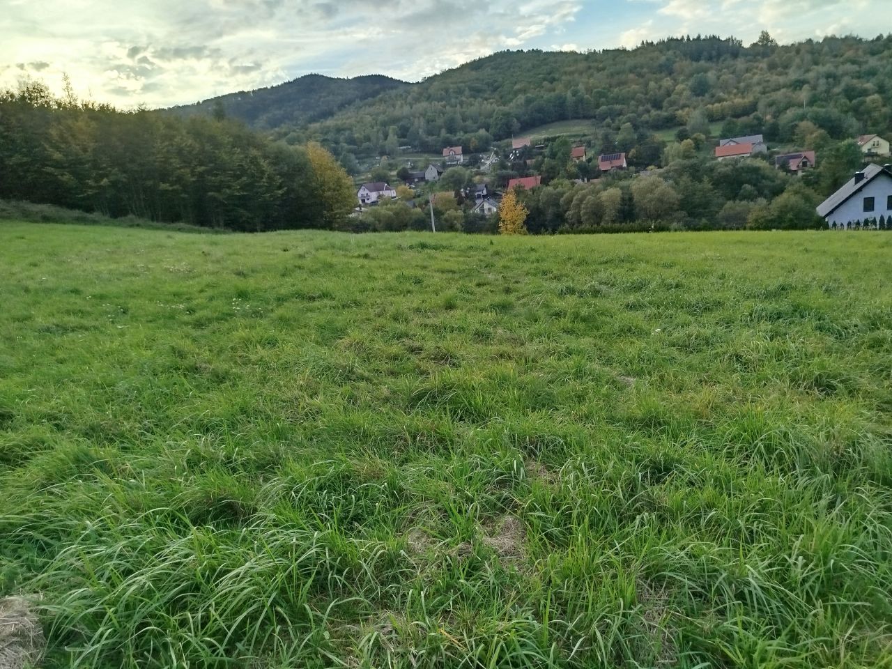 Działka budowlana Jaszczurowa, Jaszczurowa. Zdjęcie 9