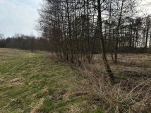 Działka budowlana Pyrzyce, ul. Adama Mickiewicza. Zdjęcie 4