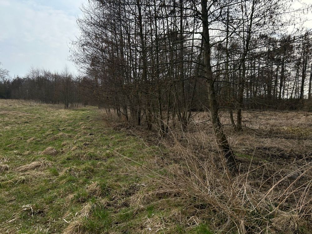Działka budowlana Pyrzyce, ul. Adama Mickiewicza. Zdjęcie 5