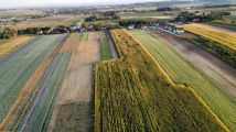Działka rolno-budowlana Polekarcice. Zdjęcie 4