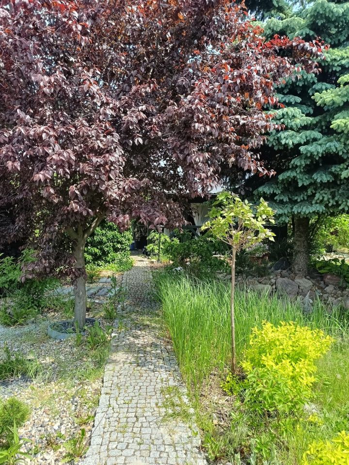 Działka rod Jarocin Annapol, ul. Żerkowska. Zdjęcie 7