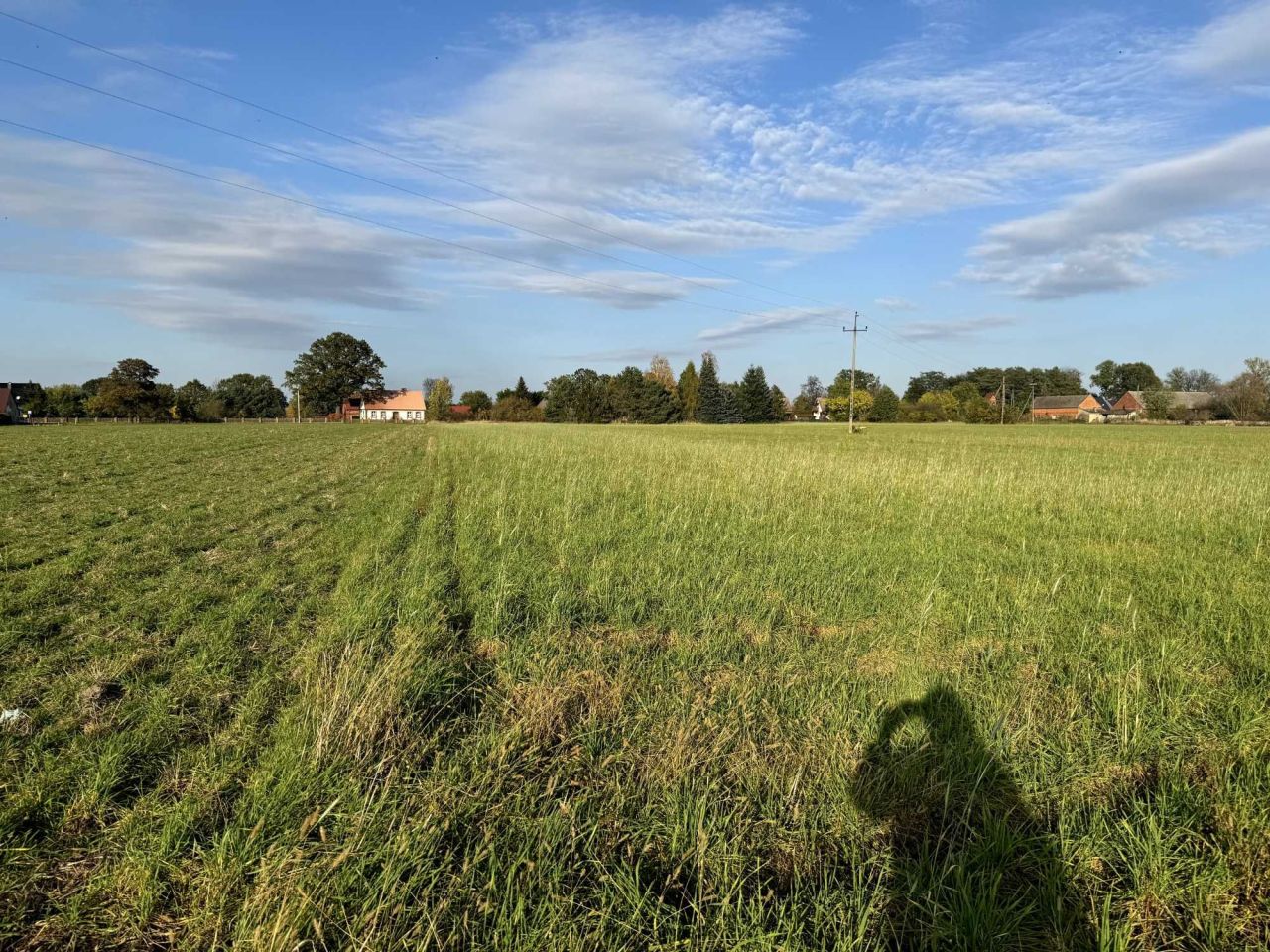 Działka rolno-budowlana Potasznia. Zdjęcie 4