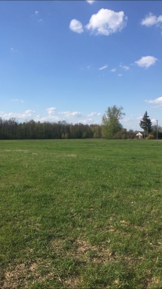 Działka rolna Chęciny