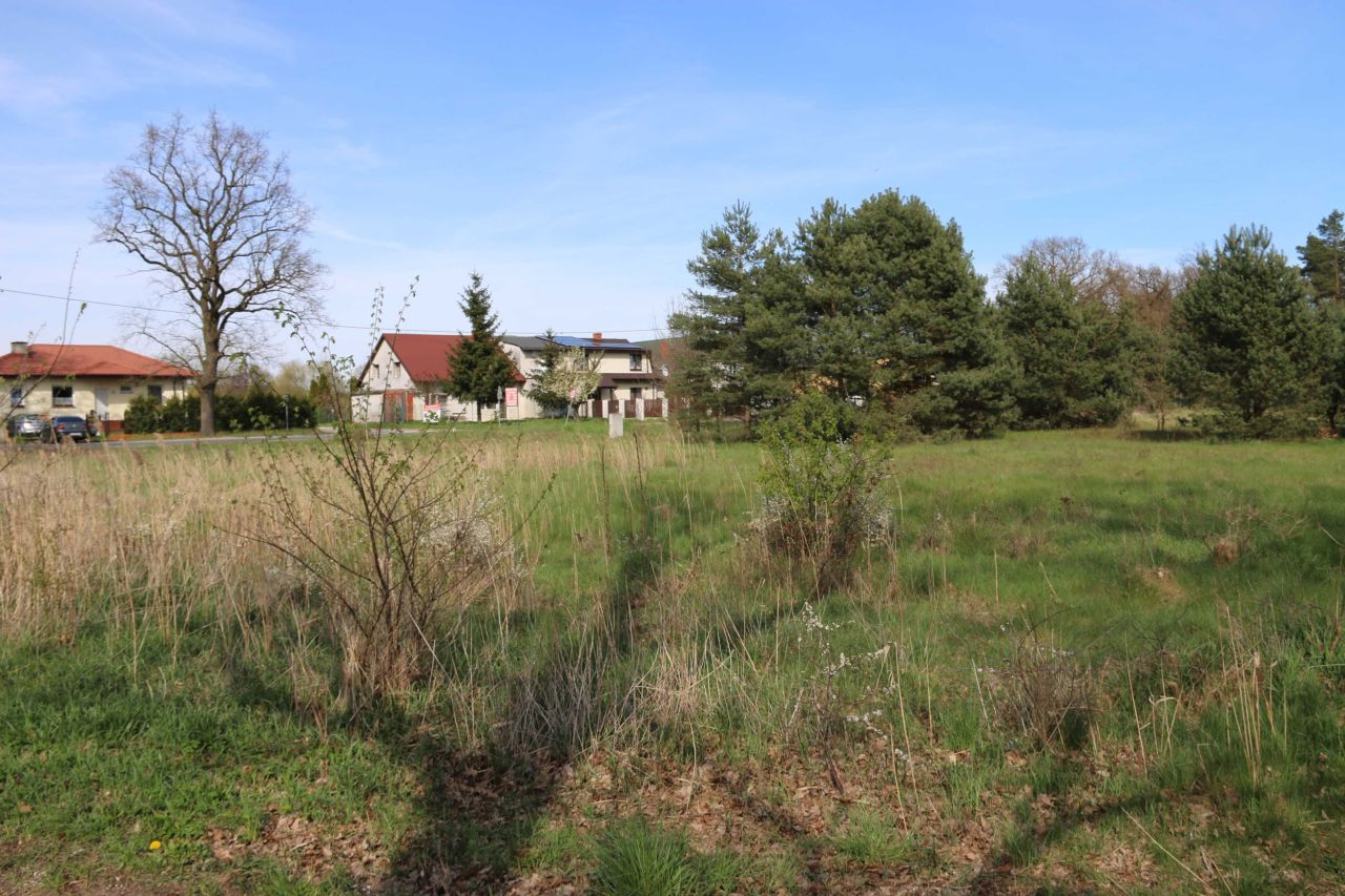 Działka budowlana Kopanino. Zdjęcie 2