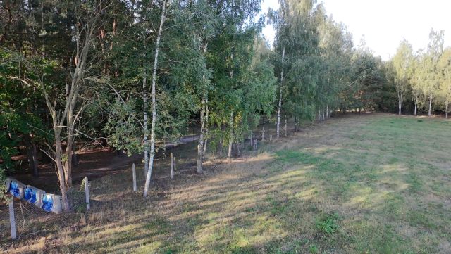 Działka budowlana Korzeniówka. Zdjęcie 1