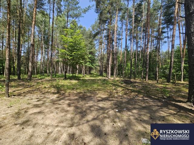 Działka budowlana Trzepieciny. Zdjęcie 3
