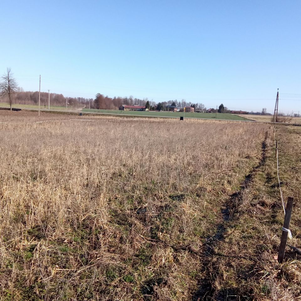 Działka rolna Helenów. Zdjęcie 3