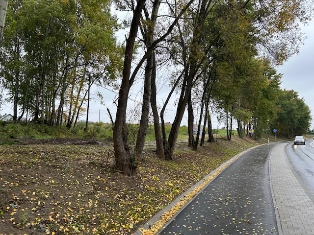 Działka budowlana Stojowice. Zdjęcie 7