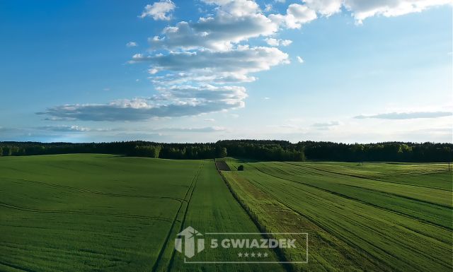 Działka budowlana Dziki. Zdjęcie 19