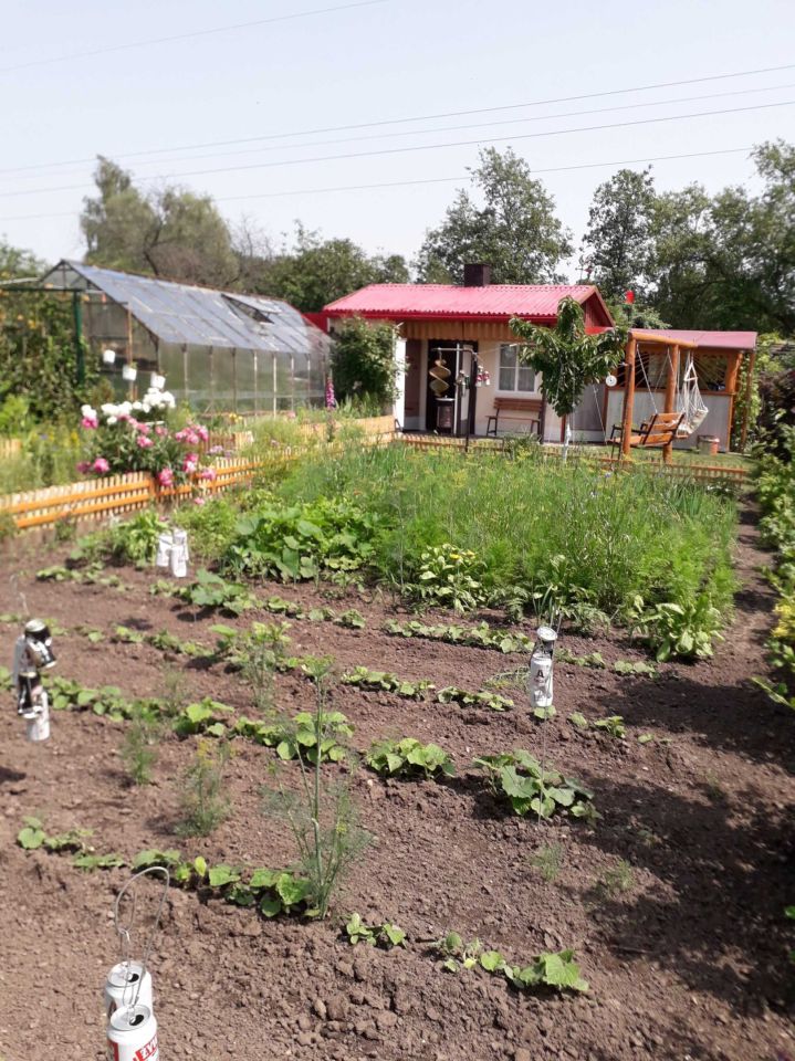 Działka rod Giżycko. Zdjęcie 5