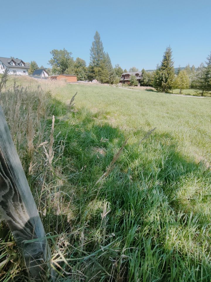 Działka budowlana Kurów Rzepki. Zdjęcie 3