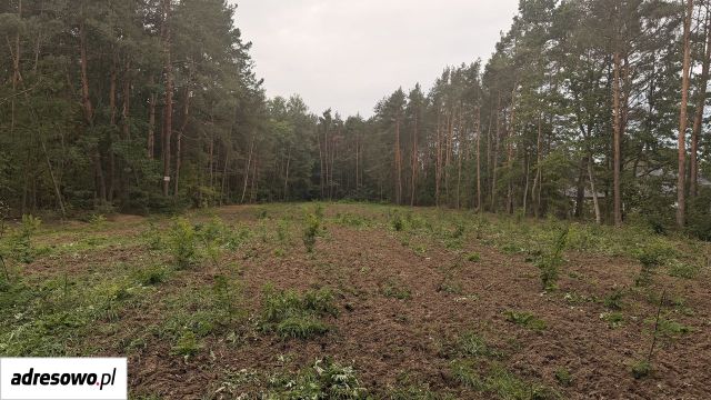 Działka budowlana Karolew. Zdjęcie 1