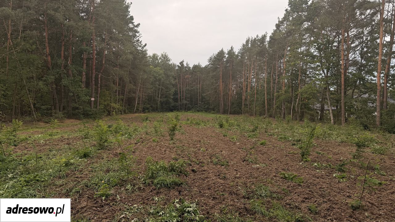 Działka budowlana Karolew. Zdjęcie 1