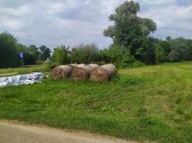 Działka budowlana Pomianowo. Zdjęcie 2