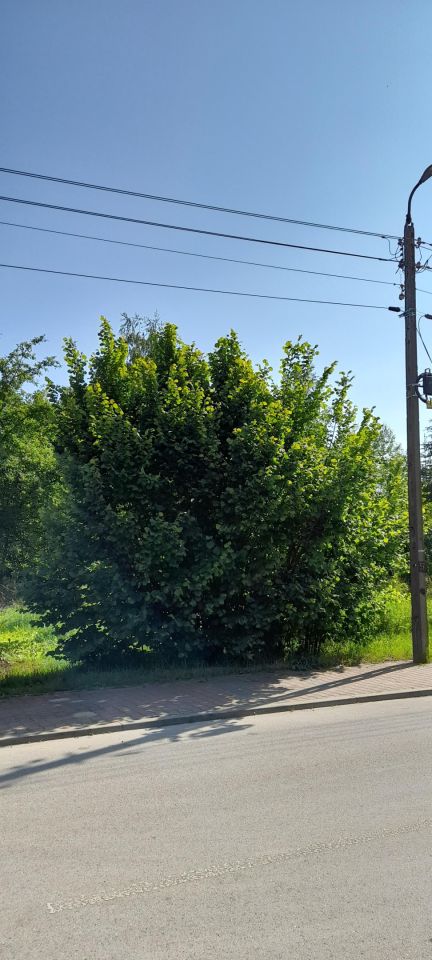 Działka budowlana Pionki, ul. Wesoła. Zdjęcie 4