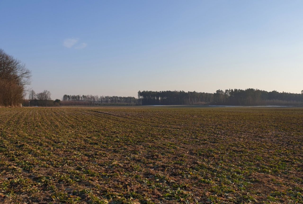 Działka budowlana Celiny. Zdjęcie 5