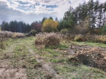 Działka budowlana Czyżówka, ul. Lipowa