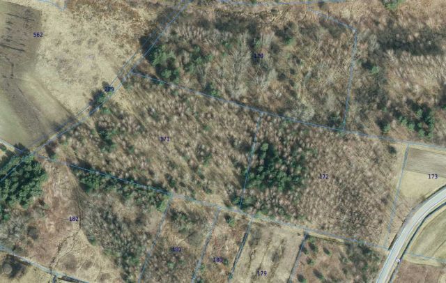 Działka leśna Nowa Jastrząbka Podsmykowe. Zdjęcie 1