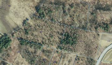 Działka leśna Nowa Jastrząbka Podsmykowe