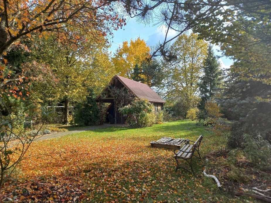 dom wolnostojący, 4 pokoje Wola Chorzelowska. Zdjęcie 4