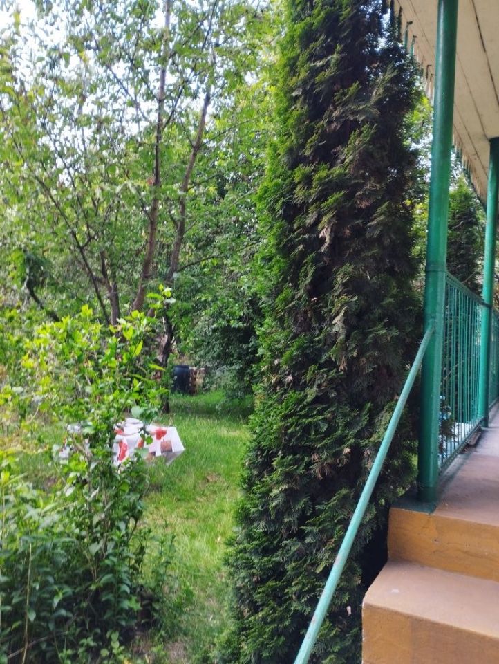 Działka rod Gliwice Szobiszowice. Zdjęcie 8