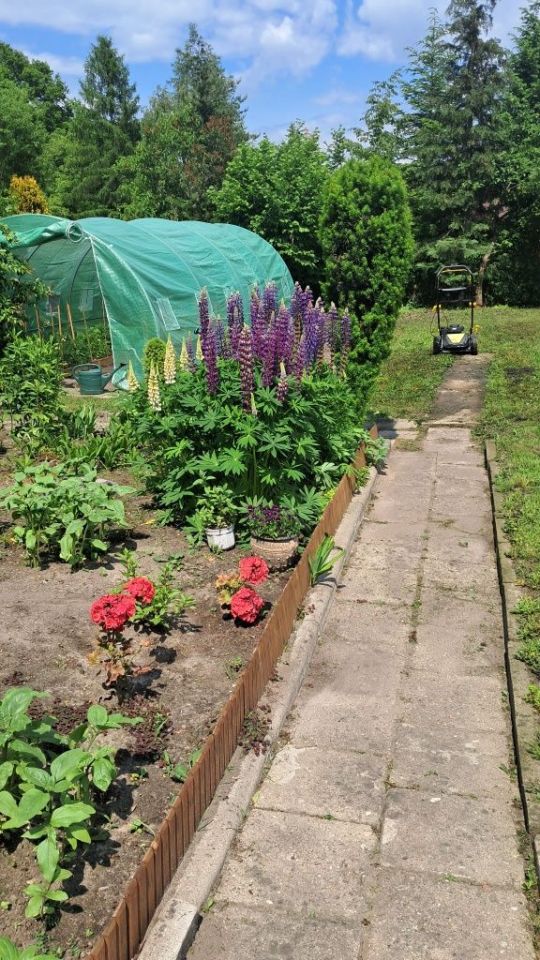 Działka rod Łódź Śródmieście, ul. Źródłowa. Zdjęcie 2