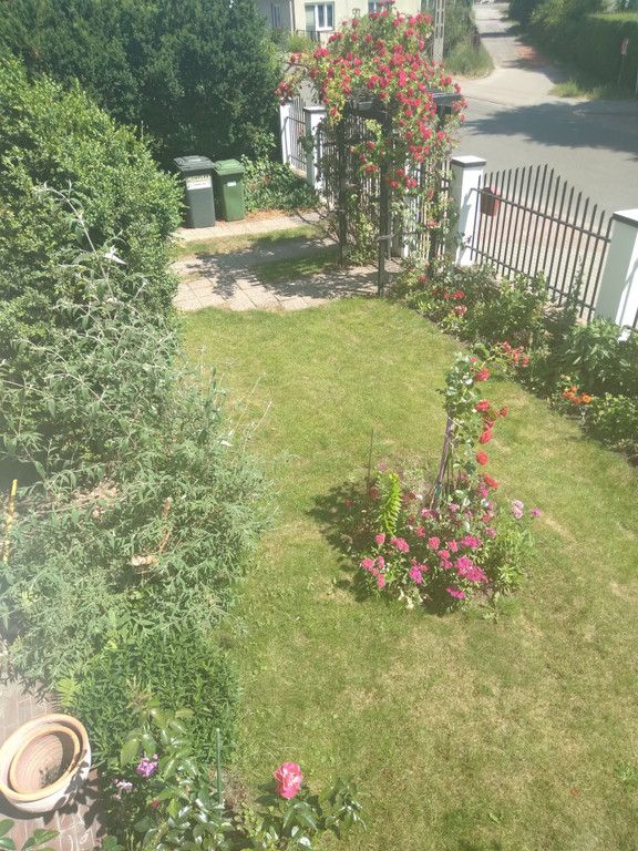 dom wolnostojący Stegna, ul. Lipowa. Zdjęcie 4