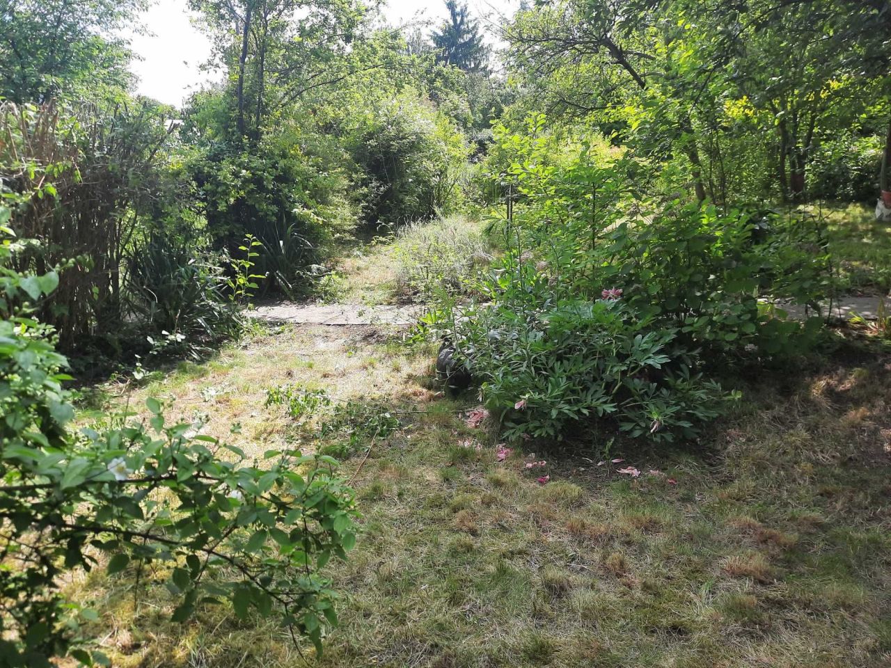 Działka rod Wrocław Krzyki, ul. Józefa Supińskiego. Zdjęcie 6