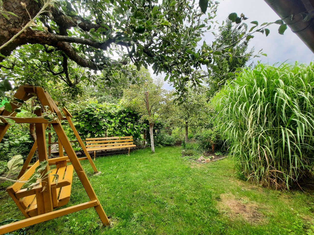 Działka rod Tarnobrzeg Wielopole, ul. Gruntowa. Zdjęcie 5