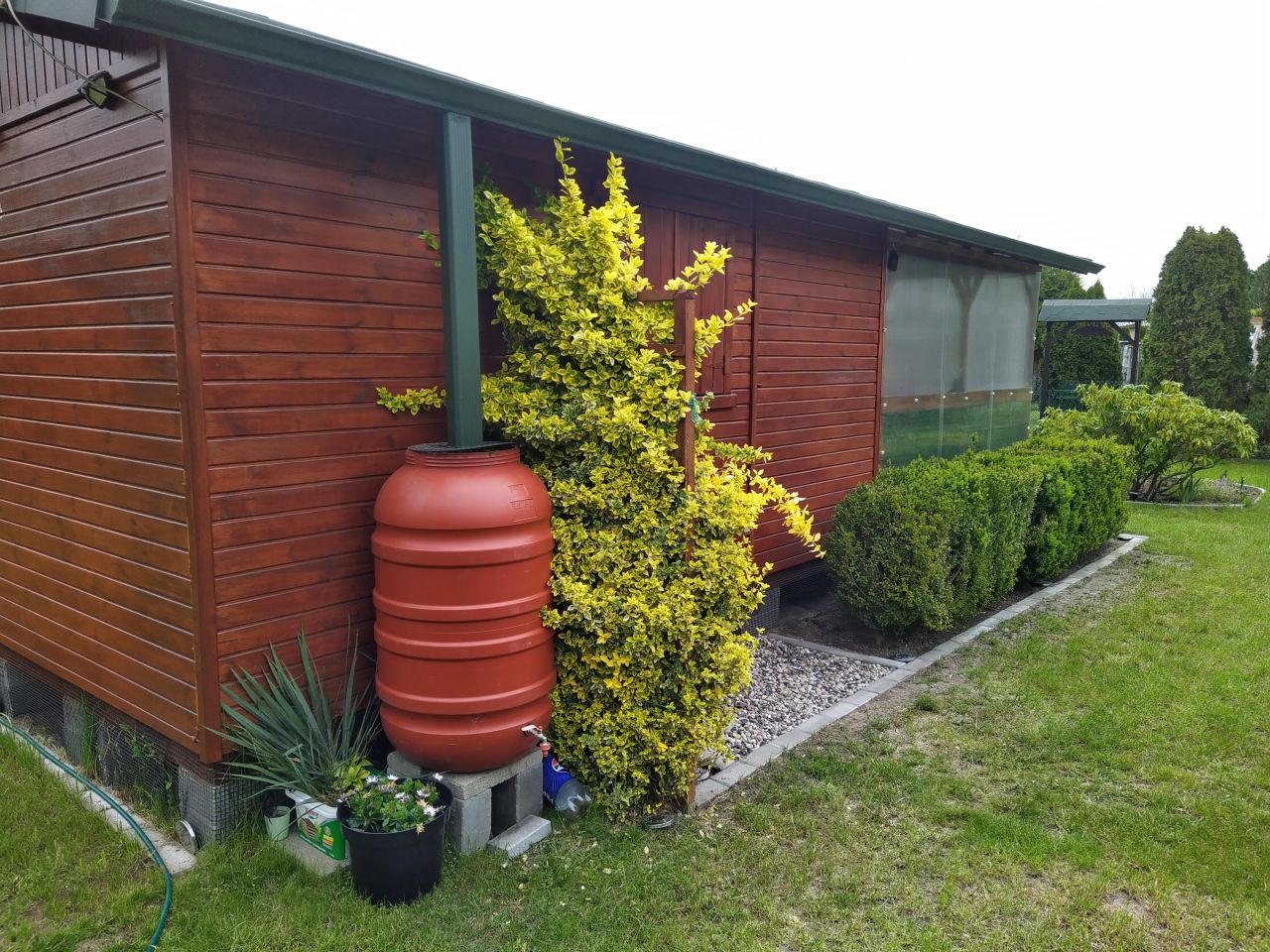 Działka rod Styrzyniec, Al. Krokusów. Zdjęcie 8