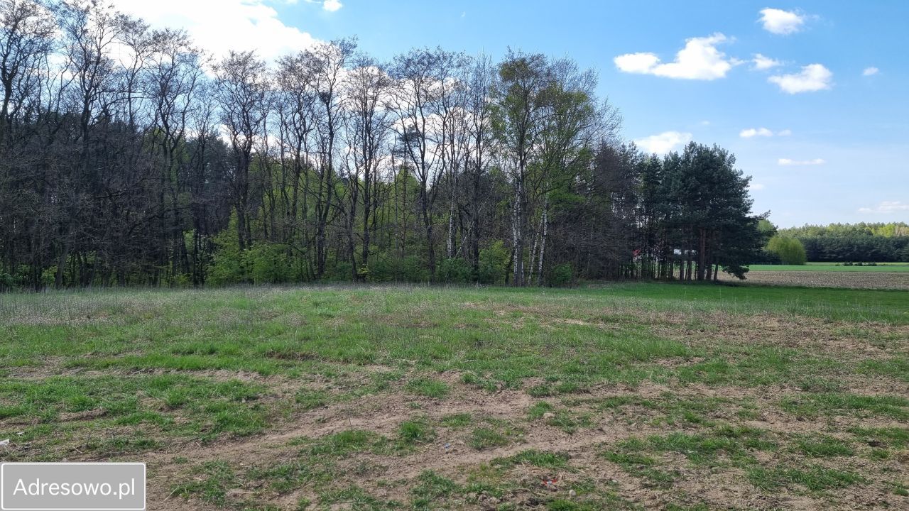Działka rolna Antoniewo. Zdjęcie 4