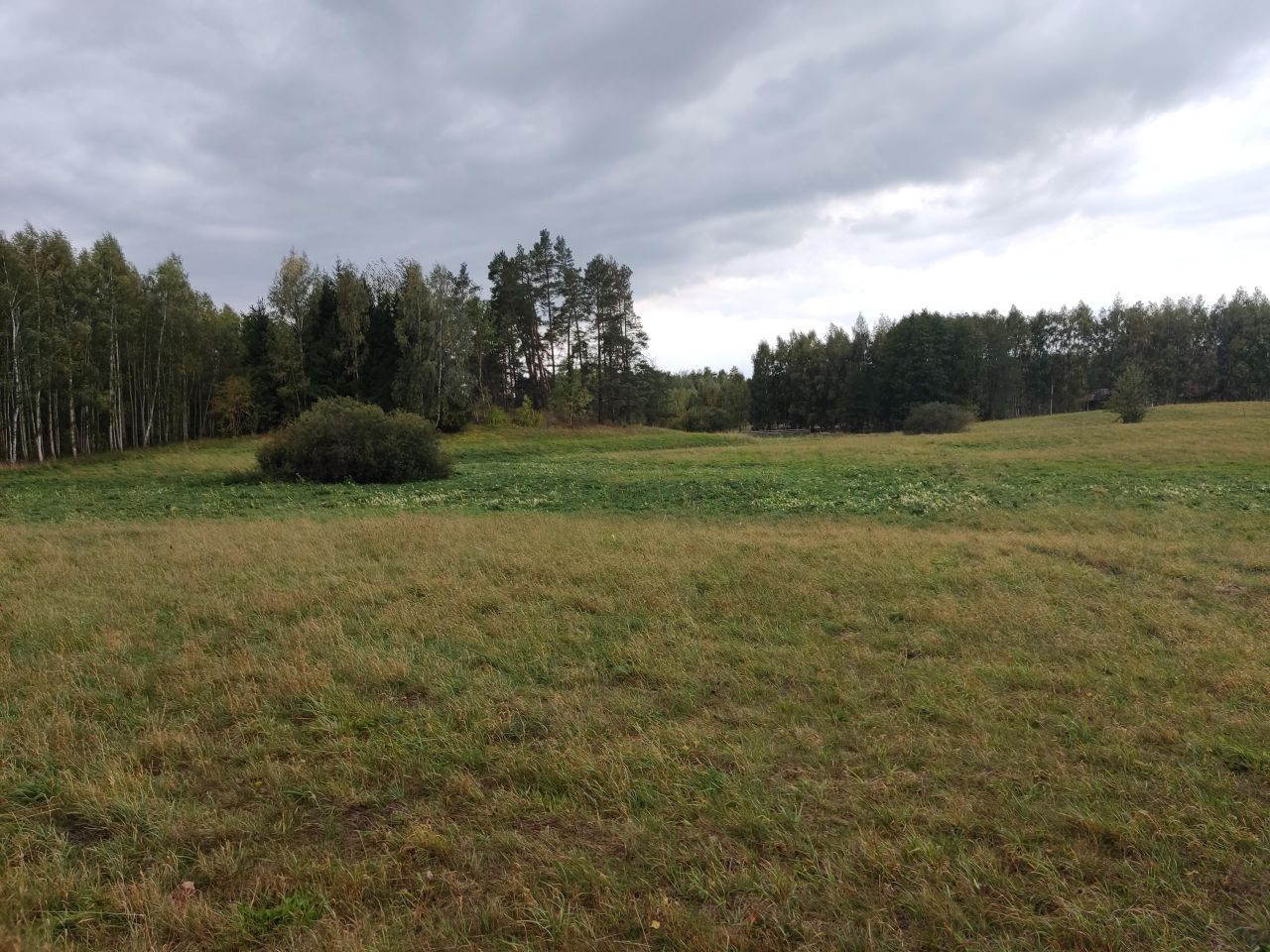 Działka rolna Rydzewo, ul. Mazurska. Zdjęcie 4