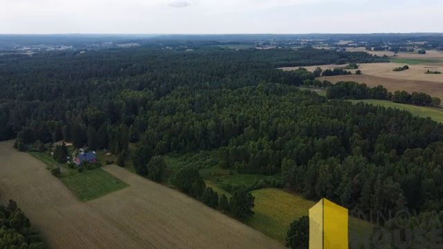 Działka leśna Pasieka. Zdjęcie 8
