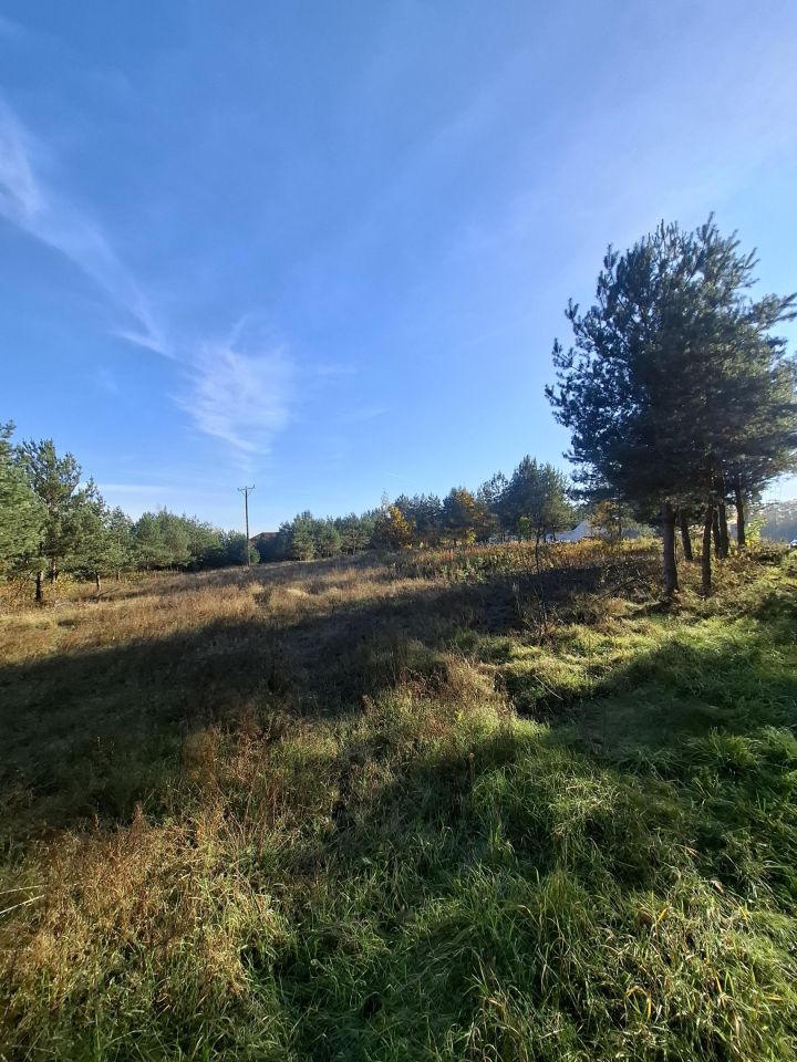 Działka budowlana Wólka Dworska. Zdjęcie 5