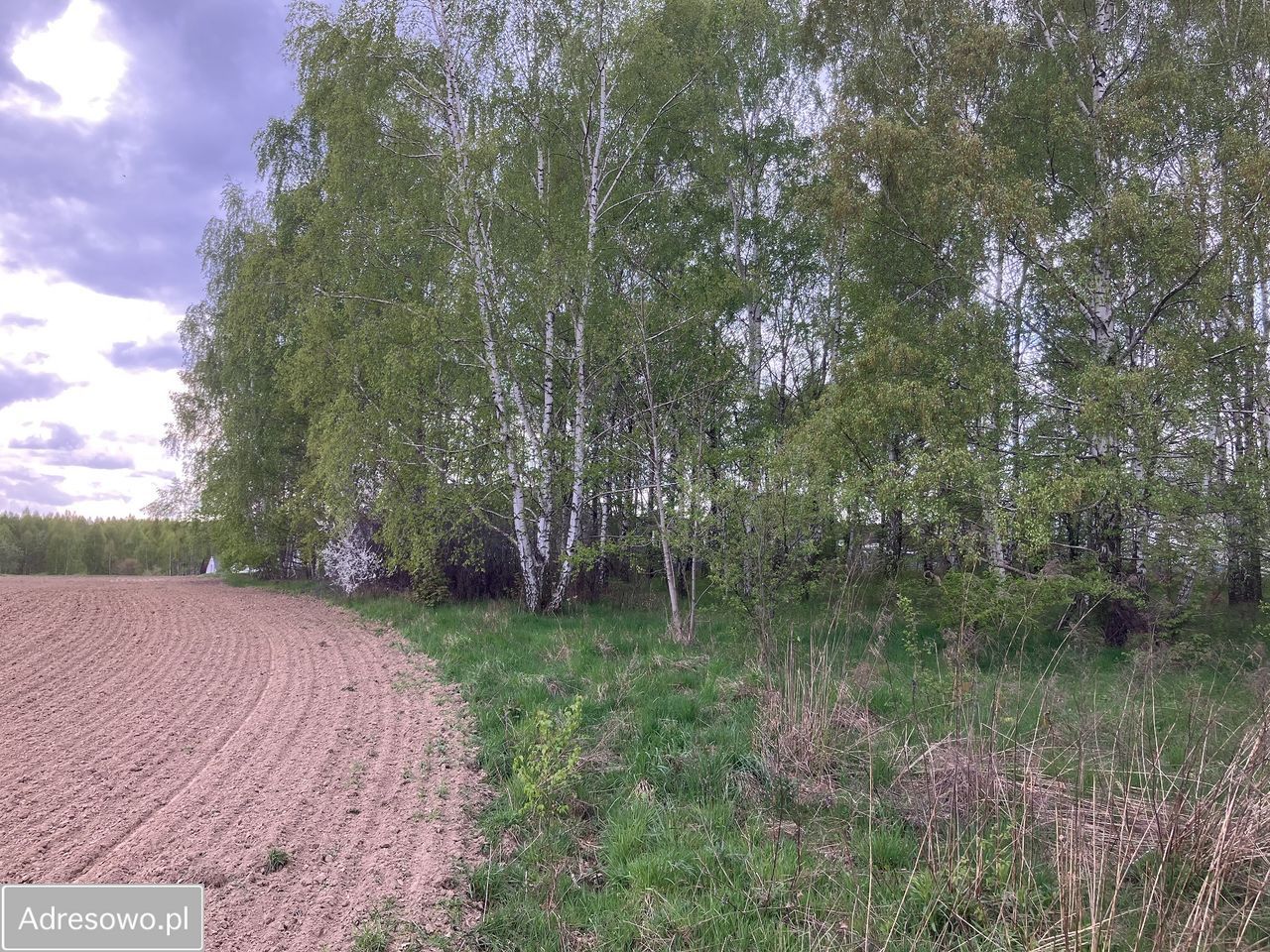 Działka budowlana Jagatowo, ul. Maślakowa. Zdjęcie 12