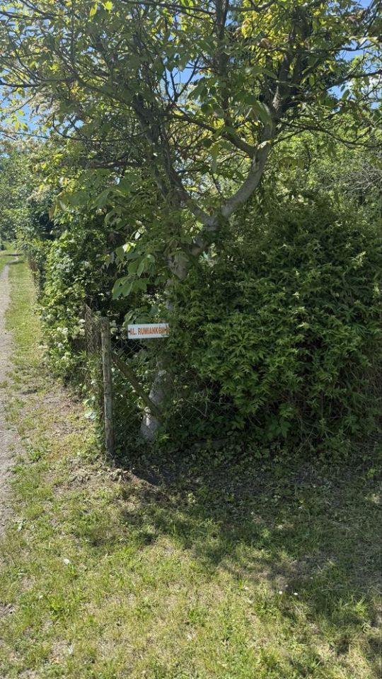 Działka rod Wrocław Krzyki, ul. Spiska. Zdjęcie 8