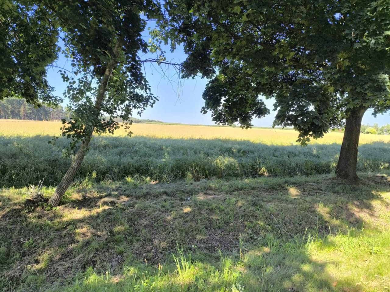 Działka budowlana Radzewice. Zdjęcie 7