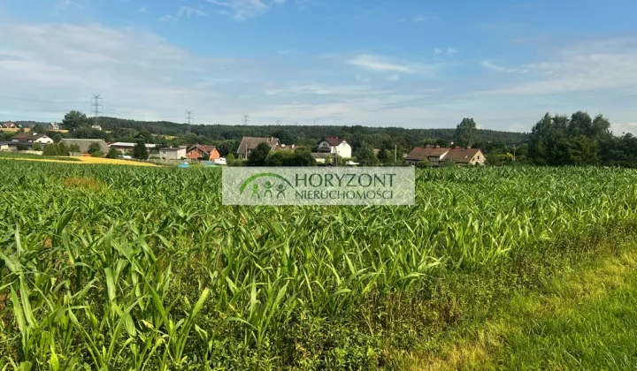 Działka Niestępowo