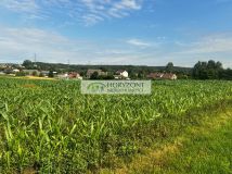 Działka Niestępowo