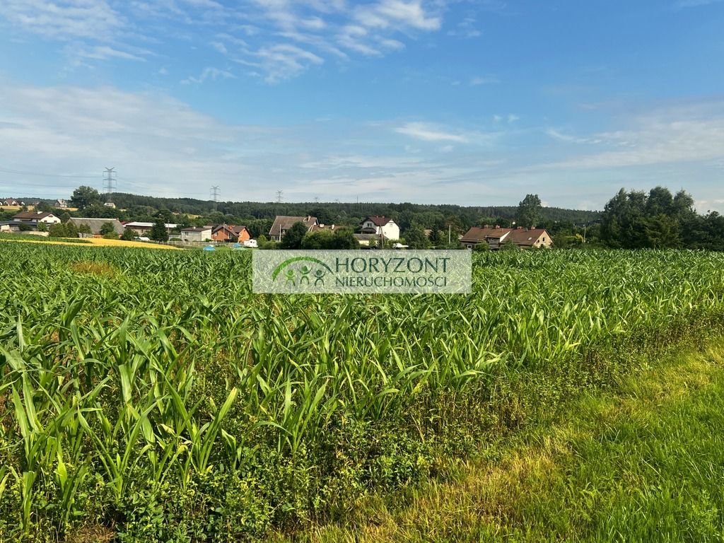 Działka Niestępowo